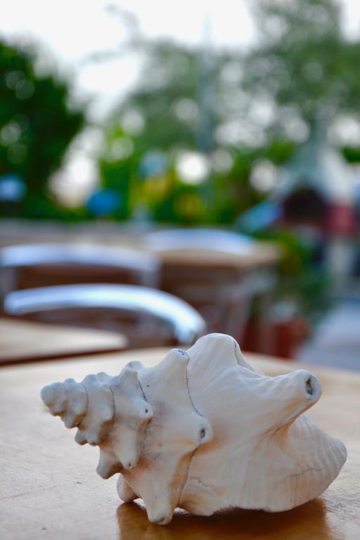 B&B Il Giardino Stellato В'єсте Екстер'єр фото