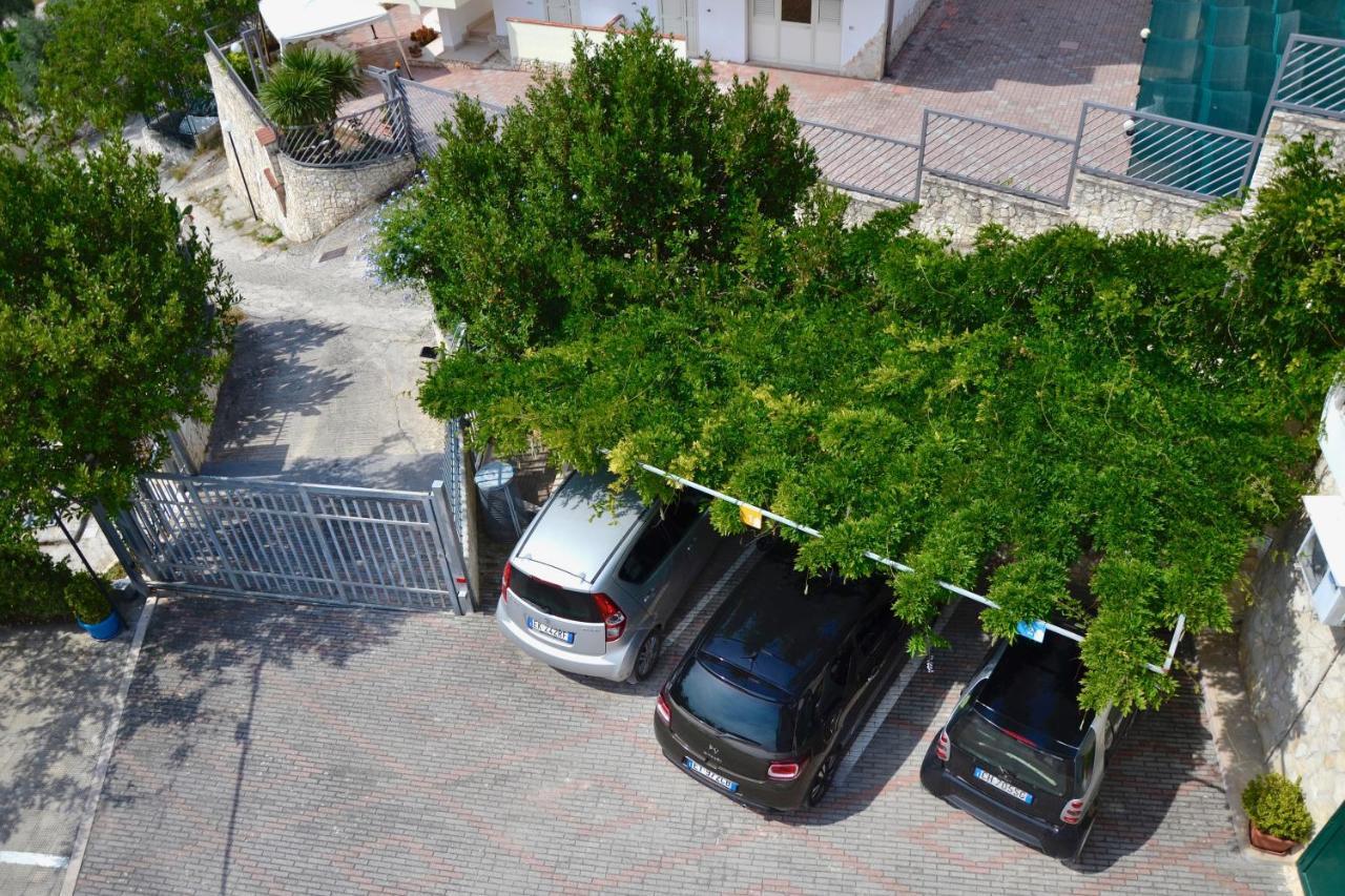 B&B Il Giardino Stellato В'єсте Екстер'єр фото
